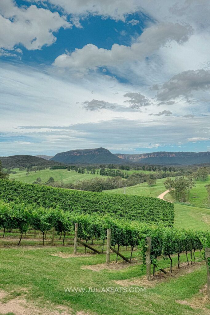 juliaxeats-blue-mountains-sydney-australia