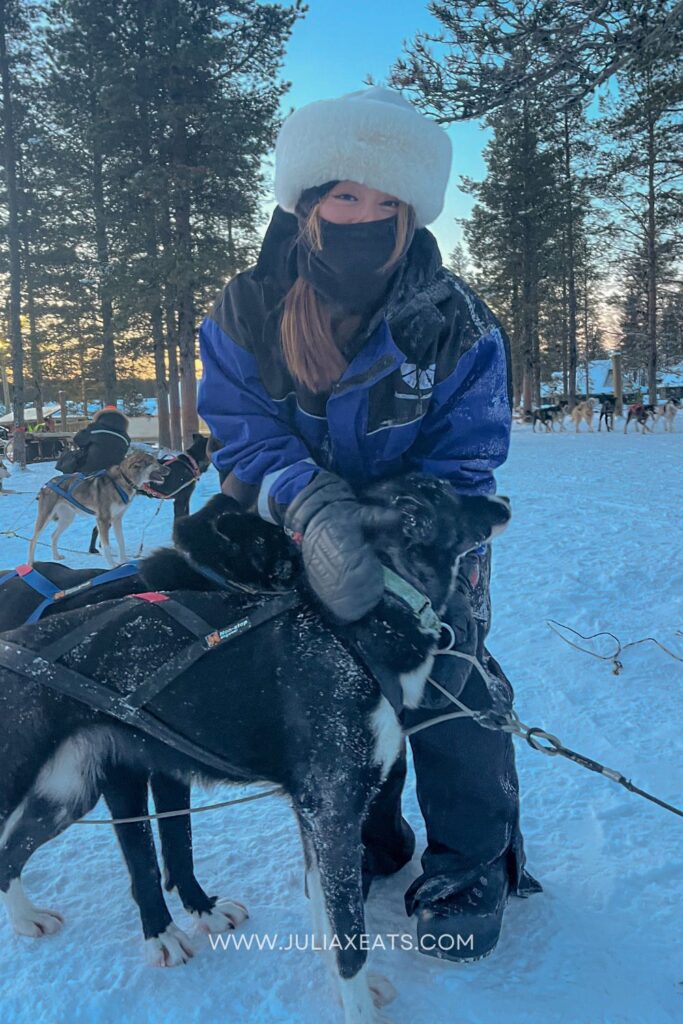 lapland, finland-3-husky ride-juliaxeats