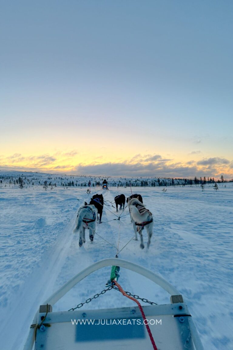 lapland, finland-5-husky ride-juliaxeats