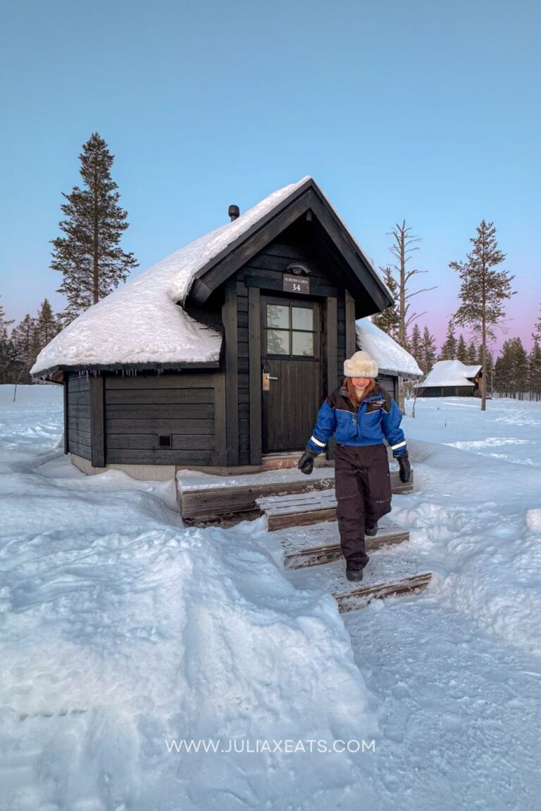 lapland, finland-aurora-cabin-5-juliaxeats