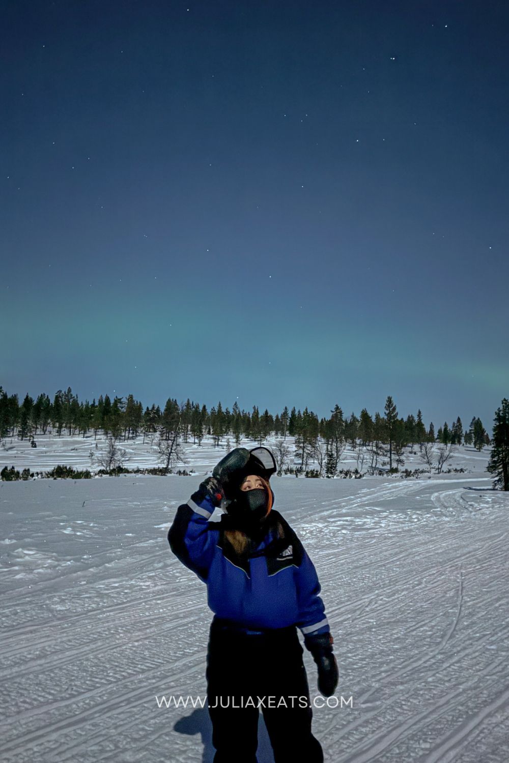 lapland, finland-northern lights-2-juliaxeats