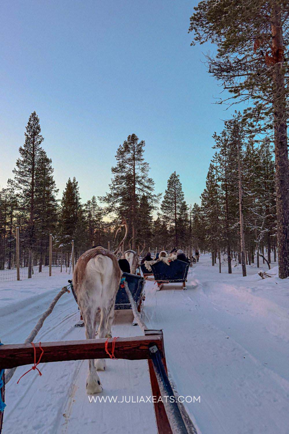 juliaxeats-finland-lapland