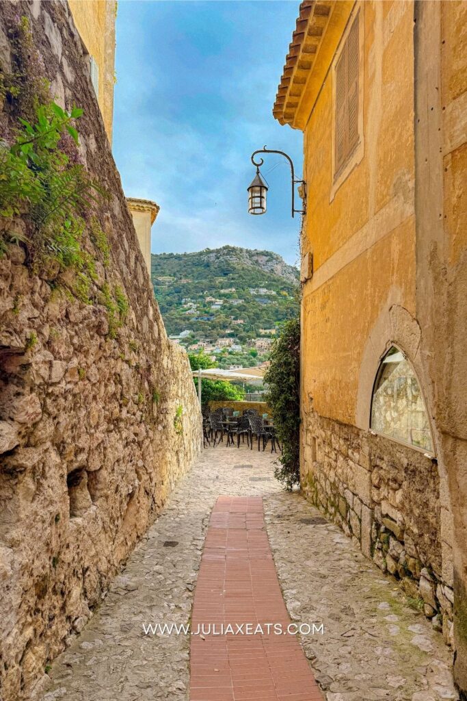 SOUTH OF FRANCE - JULIAXEATS