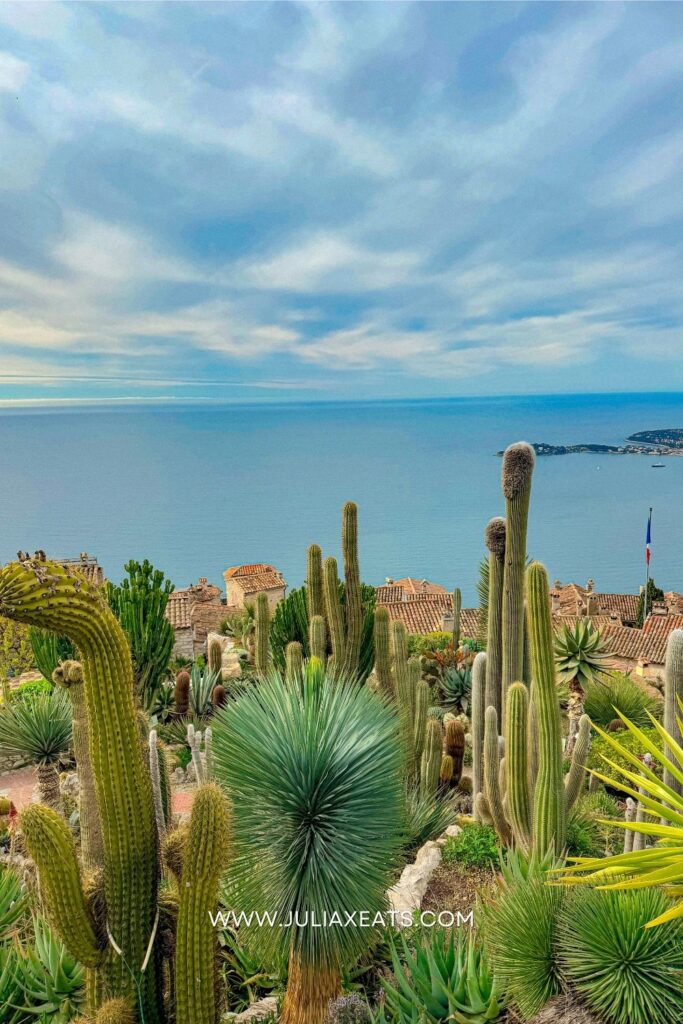 SOUTH OF FRANCE - JULIAXEATS
