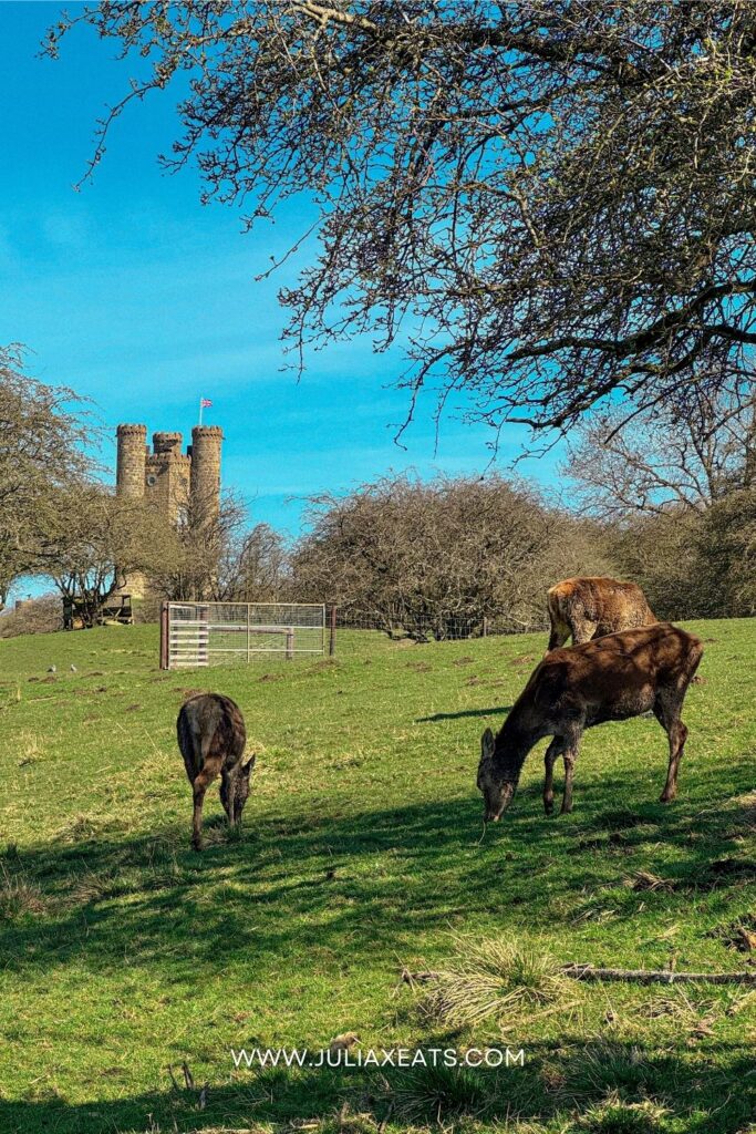 UK - JULIAXEATS - COTSWOLDS