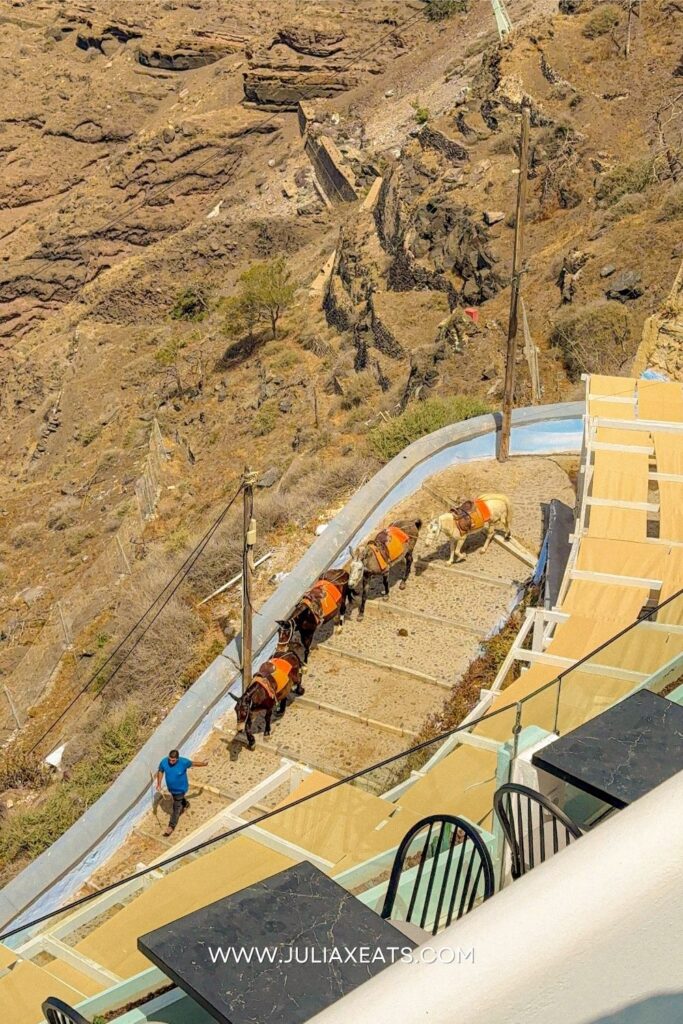 JULIAXEATS - GREECE - SANTORINI - FANARI