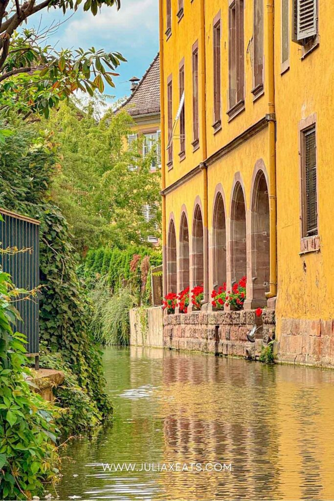 JXE - Blog Posts PT2 - JULIAXEATS - FRANCE - COLMAR 