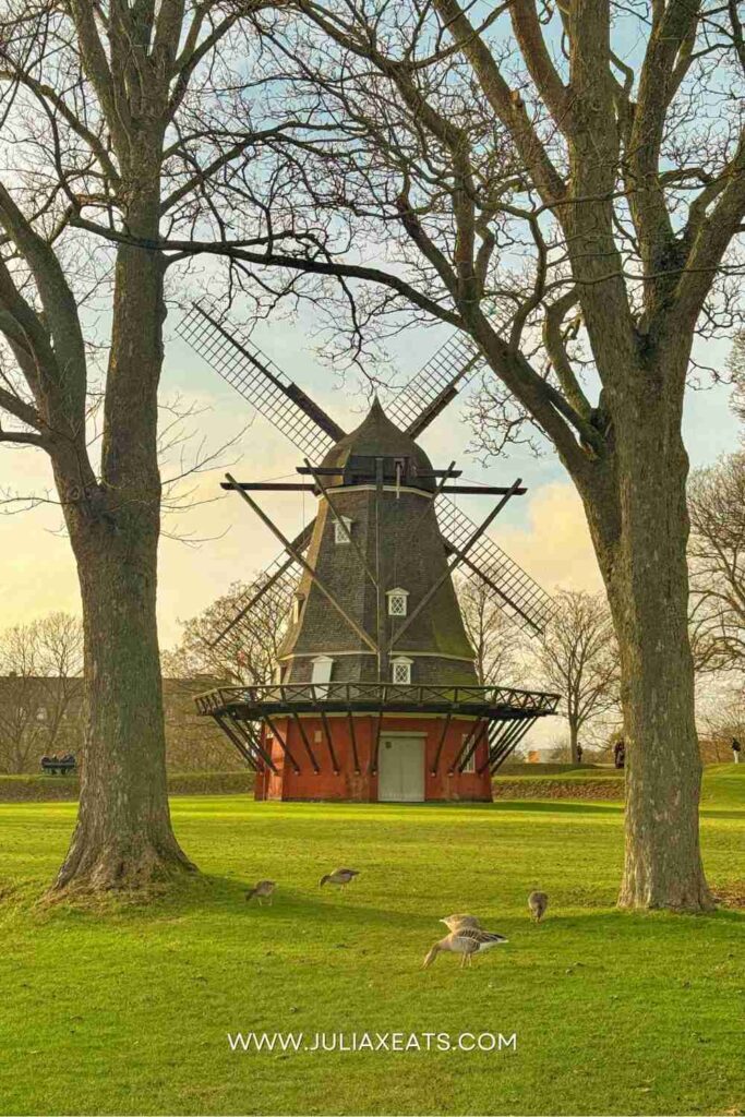 JULIAXEATS - Denmark - Copenhagen - Tips for visiting