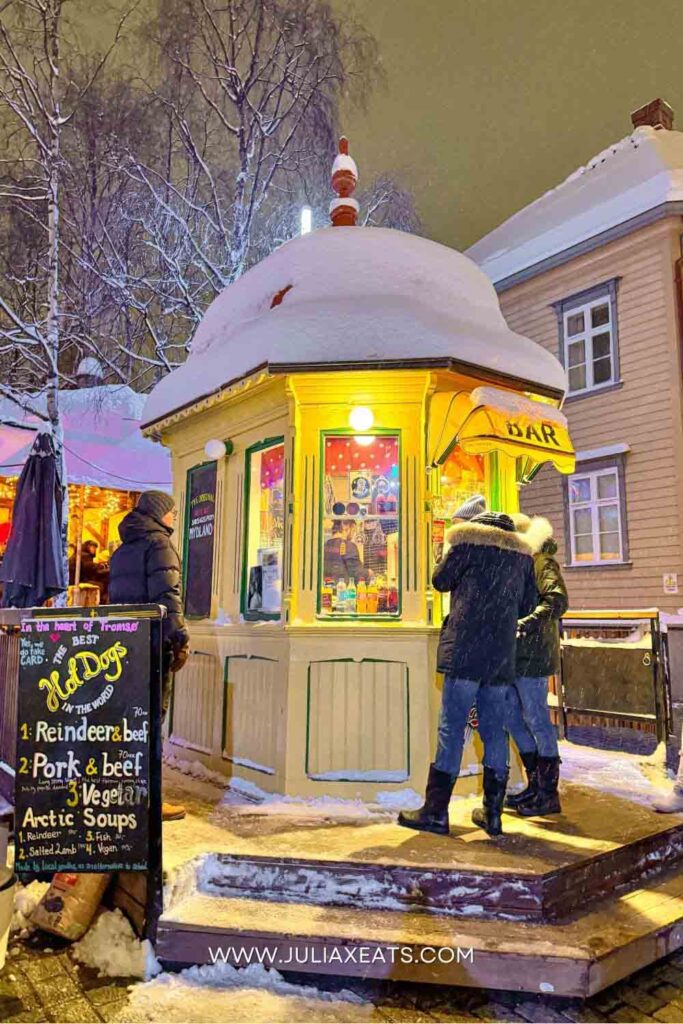 JULIAXEATS - TROMSO - NORWAY - THINGS TO DO