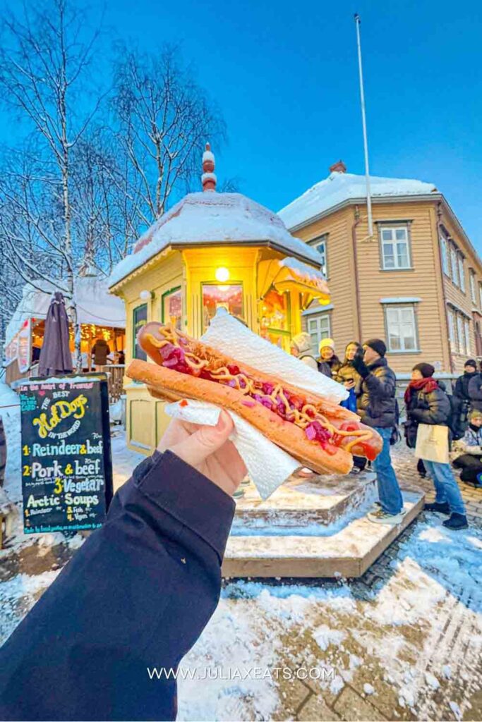 JULIAXEATS - TROMSO - NORWAY - THINGS TO DO