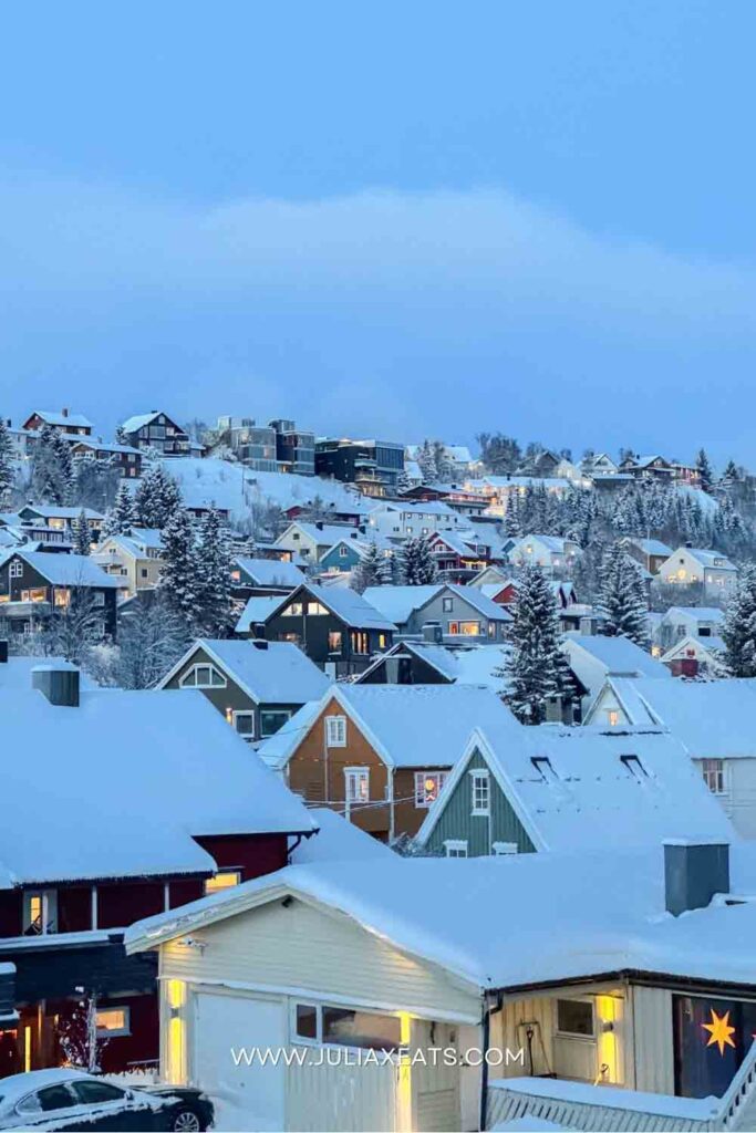 JULIAXEATS - TROMSO - NORWAY - THINGS TO DO