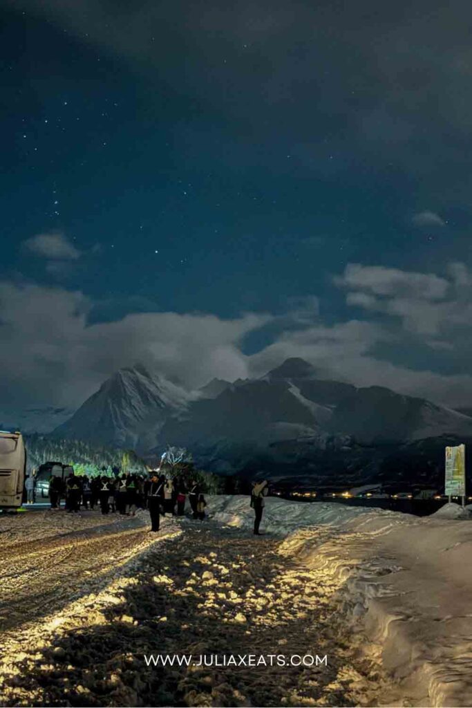 JULIAXEATS - TROMSO - NORWAY - THINGS TO DO