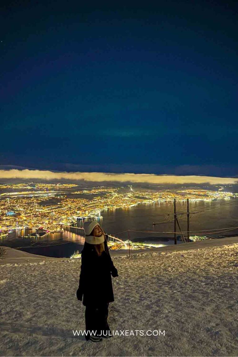 JULIAXEATS - TROMSO - NORWAY - THINGS TO DO