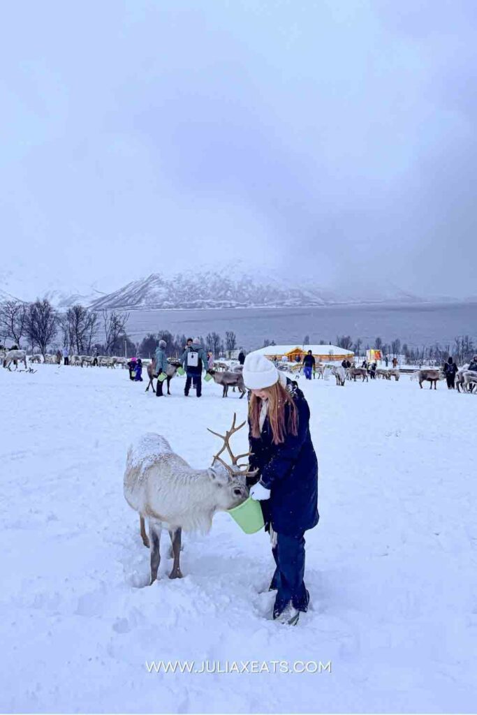 JULIAXEATS - TROMSO - NORWAY - THINGS TO DO