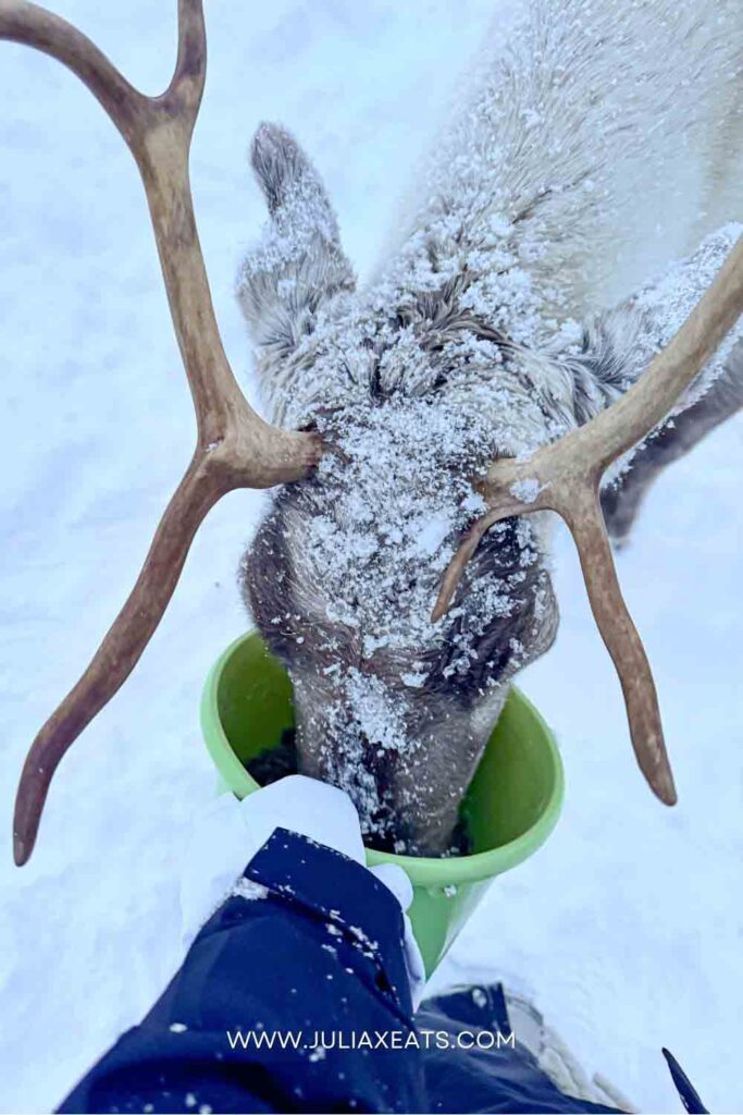 JULIAXEATS - TROMSO - NORWAY - THINGS TO