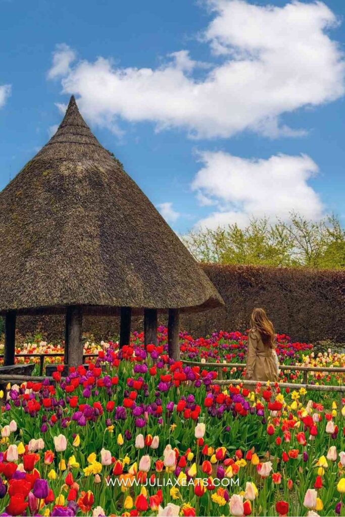 JXE - UK - ADRUNEL CASTLE