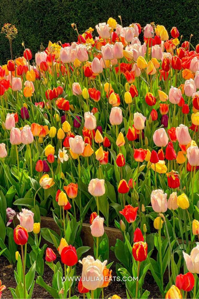 JXE - UK - ADRUNEL CASTLE